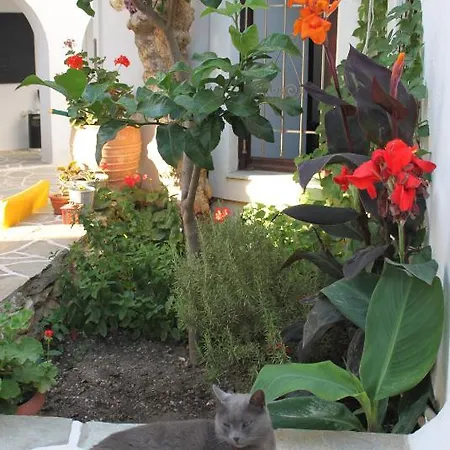 Ξενοδοχείο με διαμερίσματα Sunrise Paros 3*