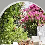 Sunrise Paros By Mr And Mrs White 4* Náoussa