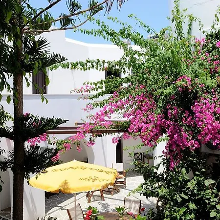 Sunrise Paros מלון דירות נאוסה