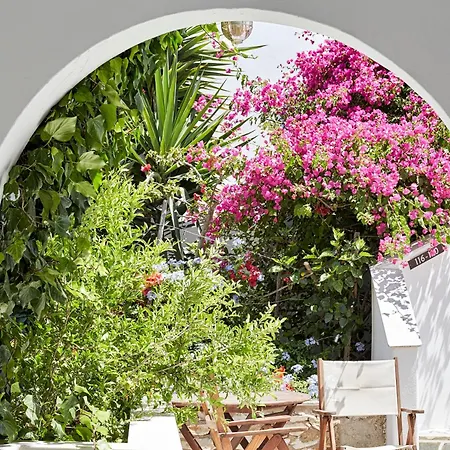 Sunrise Paros 4* Науса