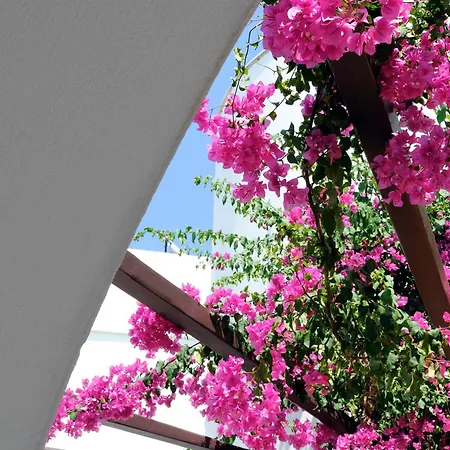 Sunrise Paros מלון דירות 4*