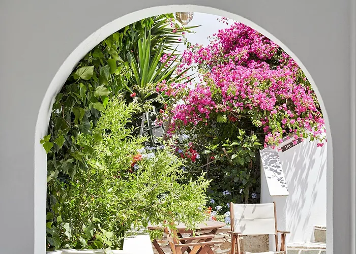 Sunrise Paros 4* ناوسا