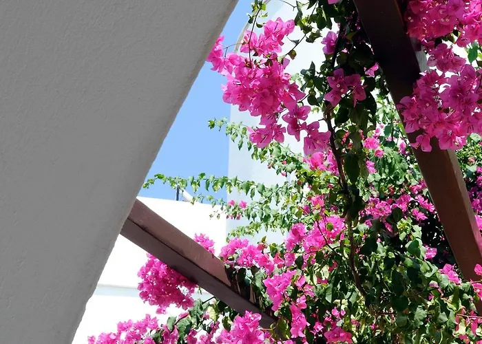 Sunrise Paros شقة فندقية 4*