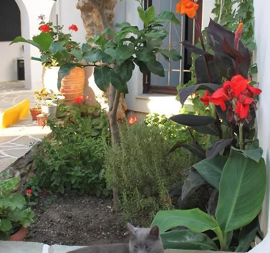 شقة فندقية Sunrise Paros 4*