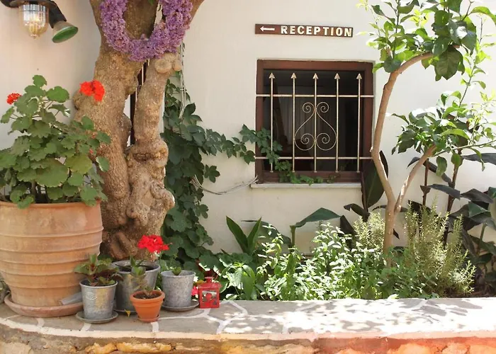 Sunrise Paros Lejlighedshotel